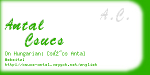 antal csucs business card